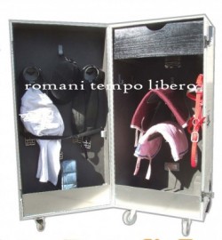 Clicca per ingrandire Baule da concorso in alluminio