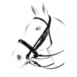 Clicca per ingrandire Briglia Dressage Equestro Plus