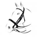 Vai al dettaglio di Briglia Dressage Equestro Plus